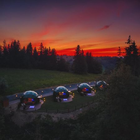 Peak Glamp & Jacuzzi Hotel Zakopane Ngoại thất bức ảnh