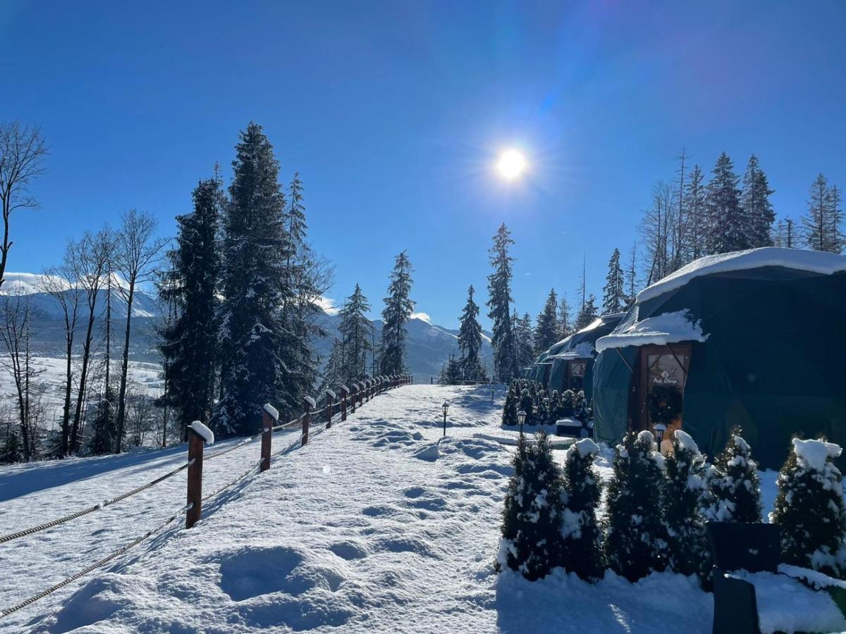 Peak Glamp & Jacuzzi Hotel Zakopane Ngoại thất bức ảnh